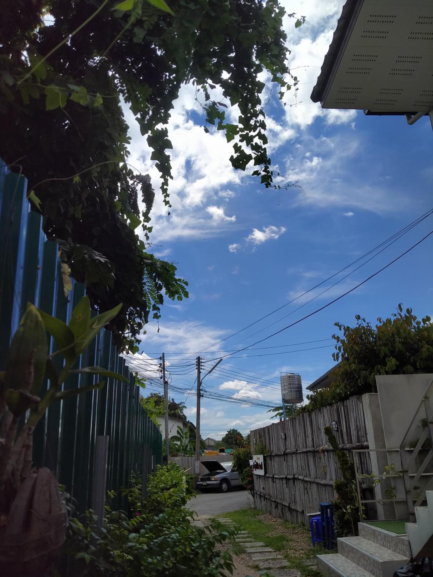 Sakura House Pansiyon Chiang Mai Dış mekan fotoğraf