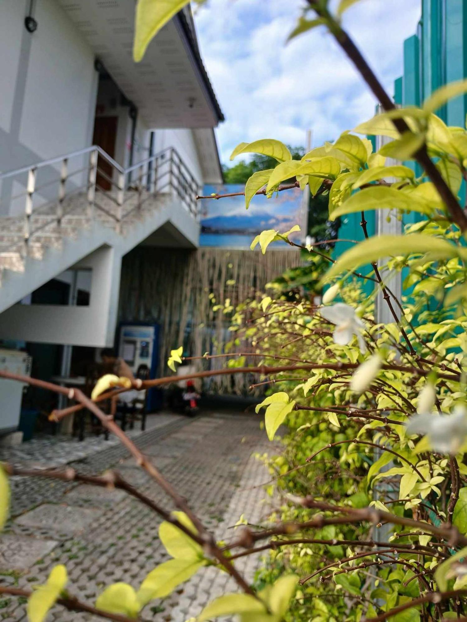 Sakura House Pansiyon Chiang Mai Dış mekan fotoğraf
