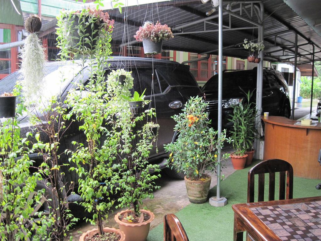 Sakura House Pansiyon Chiang Mai Dış mekan fotoğraf