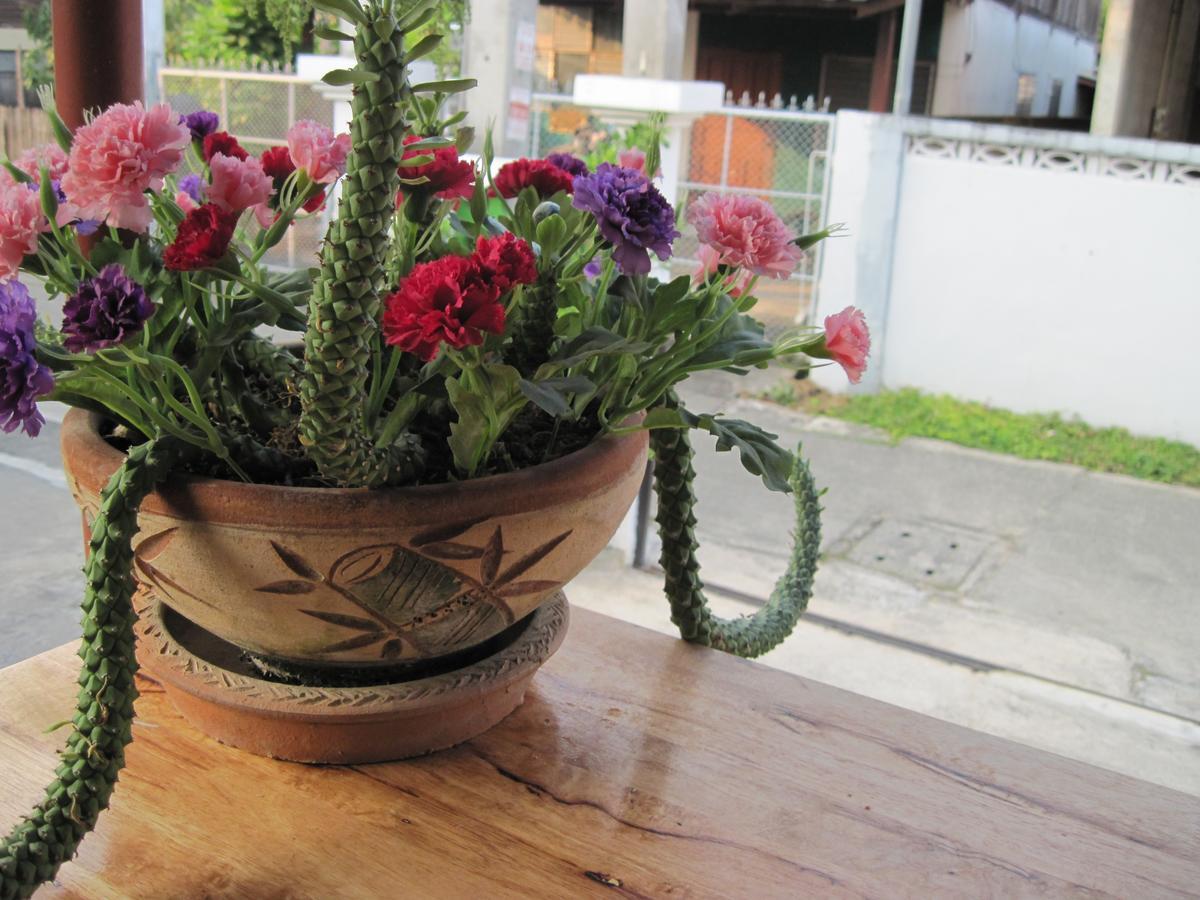 Sakura House Pansiyon Chiang Mai Dış mekan fotoğraf